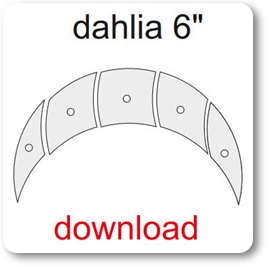 Dahlia 6