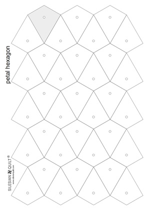 petal hexagon paper 1