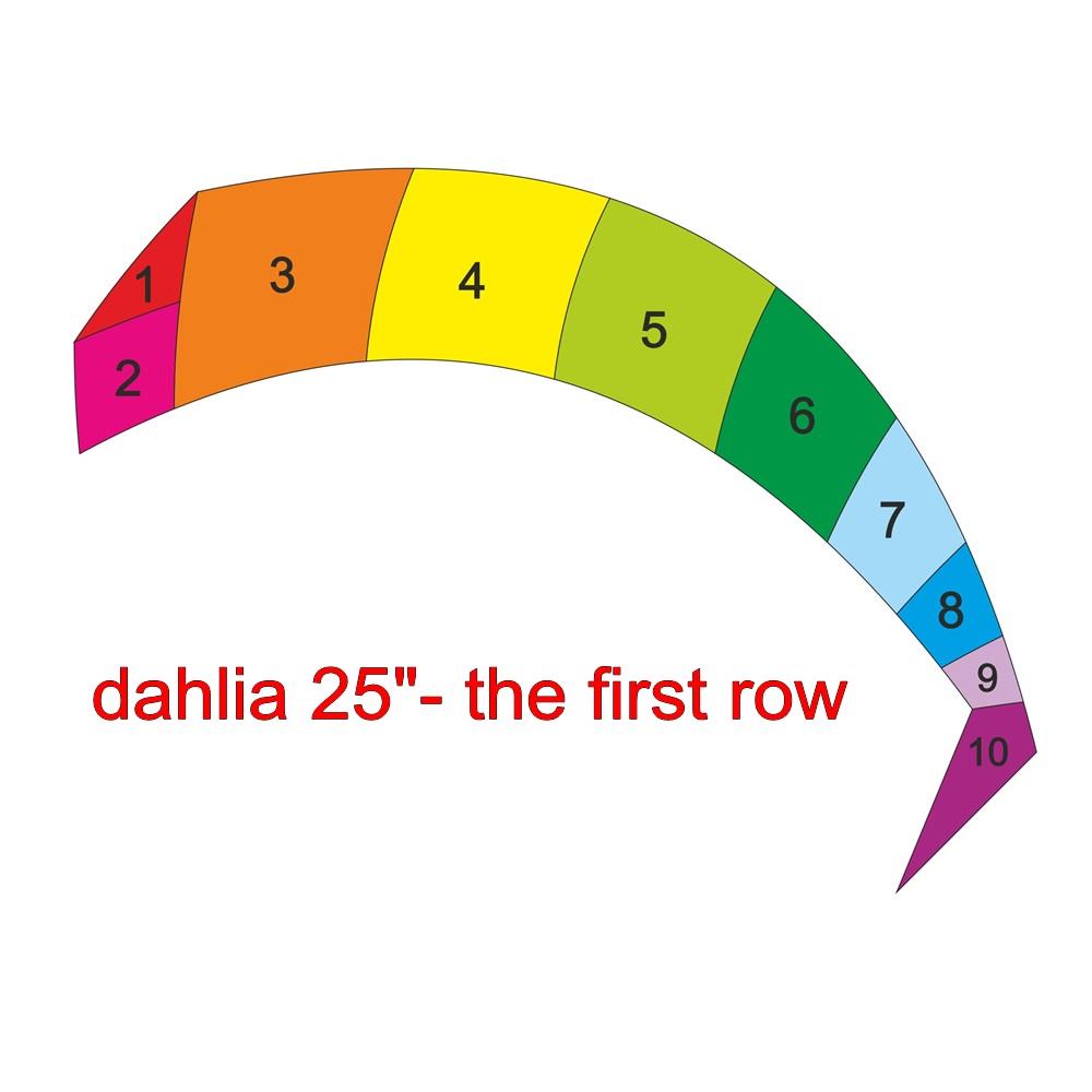 dahlia25 11